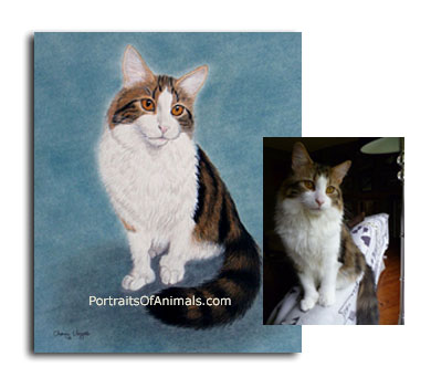 Cat Portrait Painting from photograph- Pet Portraits by Cherie