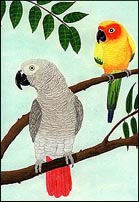 Pet Portraits by Cherie - African Grey and Conure Portrait