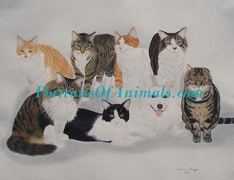 7 Cats and an Eskimo Dog Portrait - Portraits by Cherie Vergos