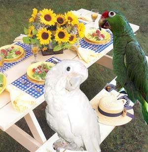 Miss Bo Peep and Riko Having a Picnic