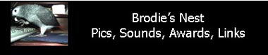 Brodie's Nest