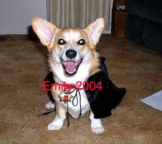 Emily's Costume