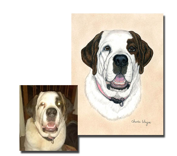 St Bernard Dog Pet Portrait