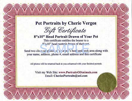 Sample of Pet Portraits by Cherie Gift Certificate