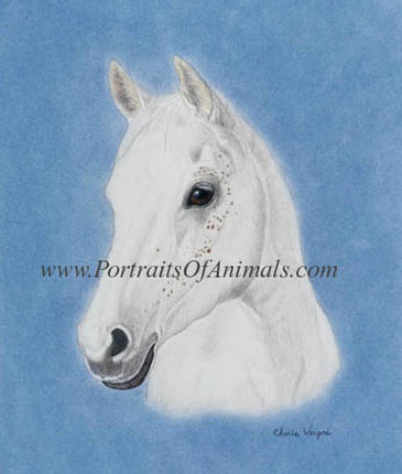 Arabian Horse Painting Portrait