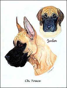 Pet Portraits by Cherie