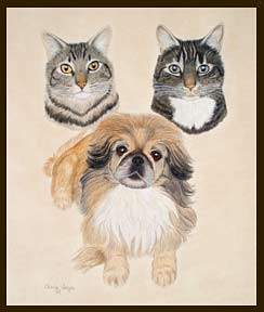 2 Cats and a Dog Portrait