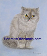 Persian Cat Portrait