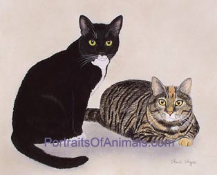 Calico and Tuxedo Cat Portrait - Pet Portraits by Cherie