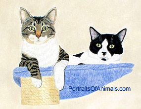 Two Cats in a Cat Tree Portrait
