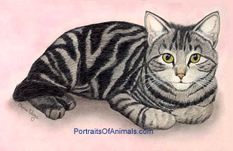 Tiger Cat Portrait