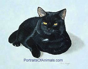 Black cat painting portrait