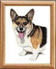 Corgi Portrait- Pet Portraits by Cherie Vergos