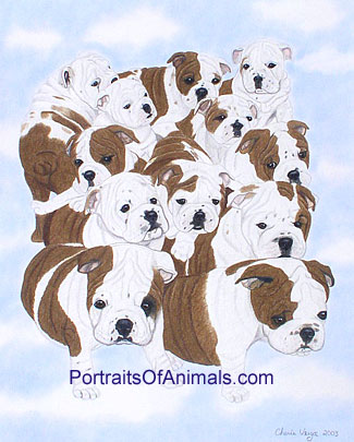 12 Bulldog Puppies Dog Portrait - Pet Portraits by Cherie