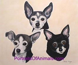Portrait of 3 Chihuahua Dogs - Pet Portraits by Cherie