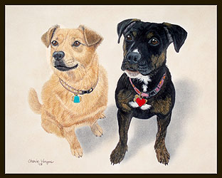2 Dogs Portrait www.PortraitsOfAnimals.com