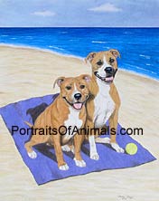 Pit Bull Boxer Mix Portrait - Pet Portraits by Cherie Vergos