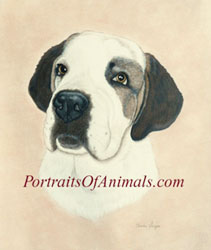 St Bernard Painting Portrait