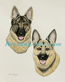 German Shepherd Painting Portrait Dog Art