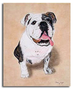 English Bulldog Custom Dog Portrait Painting from photo