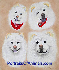 Chow Chow Dog Portrait - Pet Portraits by Cherie