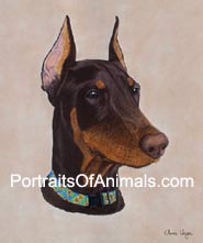 Red Doberman Portrait- Pet Portraits by Cherie
