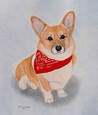 Pembroke Welsh Corgi