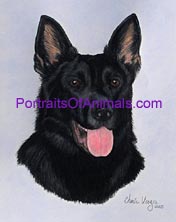 German Shepherd Portrait- Pet Portraits by Cherie Vergos