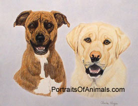 Boxer Mix and Yellow Lab Dog Portrait