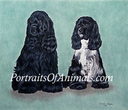 Cocker Spaniels Portrait