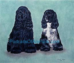 Cocker Spaniel Portrait - Pet Portraits by Cherie Vergos