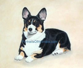 Pembroke Welsh Corgi Dog Portrait - Pet Portraits by Cherie