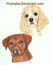 Rhodesian Ridgeback and Cocker Spaniel Dog Portrait - Pet Portraits by Cherie