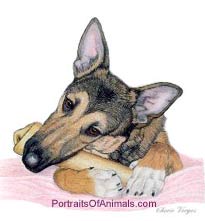 German Shepherd Dog Portrait - Pet Portraits by Cherie