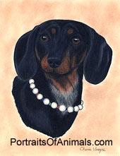 Dachshund Dog Portrait - Pet Portraits by Cherie