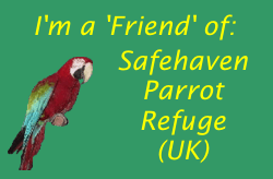 SafeHaven Parrot Rescue