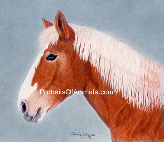 Belgian Draft Horse Portrait - Pet Portraits by Cherie Vergos