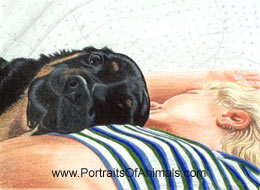 Shea & Amy Portrait  - Pet Portraits by Cherie