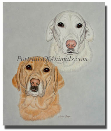 two yellow labs dog portrait painting